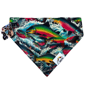 Pet Bandana - Md