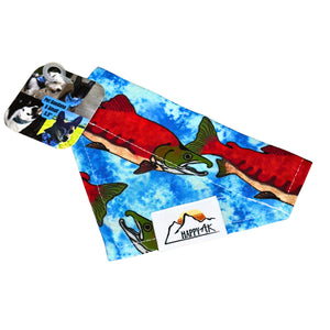 Pet Bandana - XS