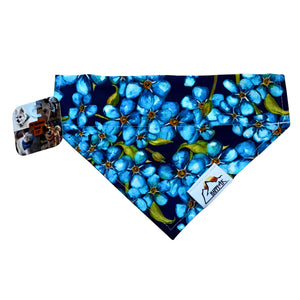 Pet Bandana - S