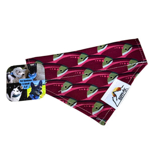 Pet Bandana - XS