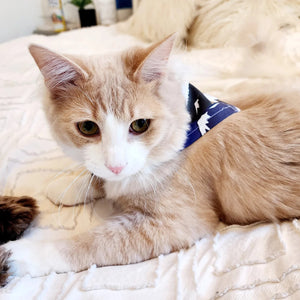 Pet Bandana - S