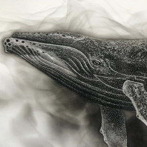 Humpback Whale Giclee Print