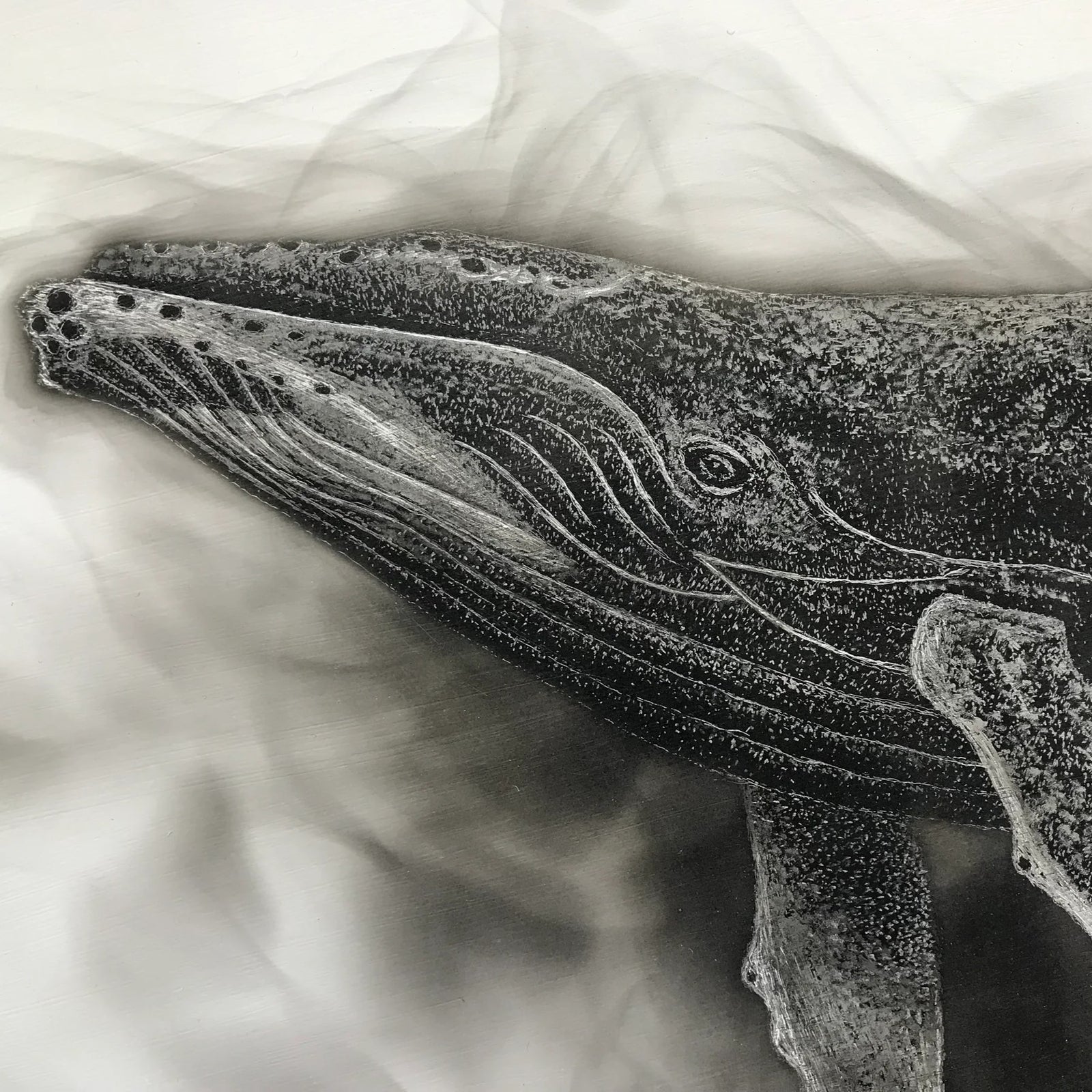 Humpback Whale Canvas Print