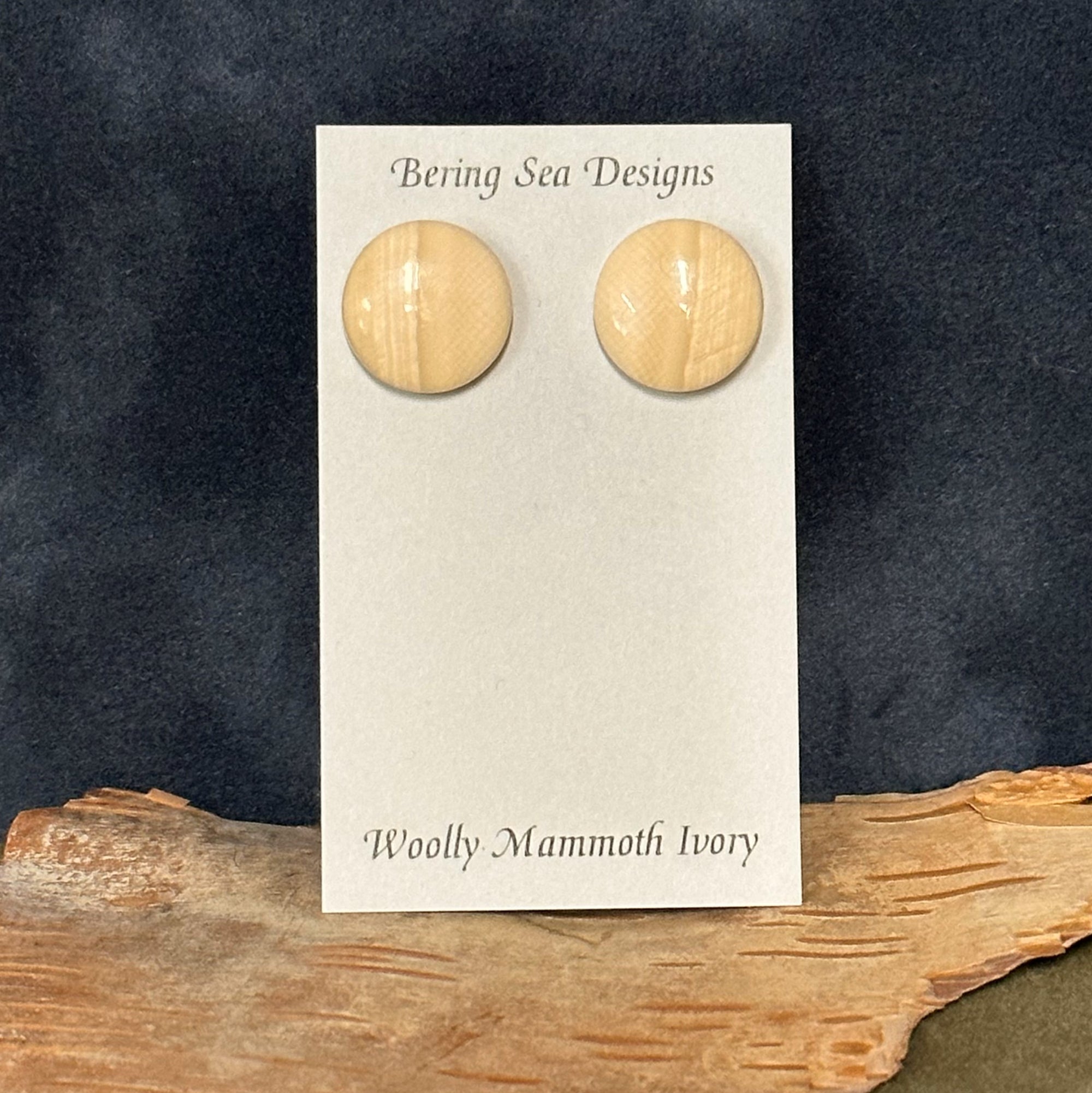 Circle Post Ivory Earring
