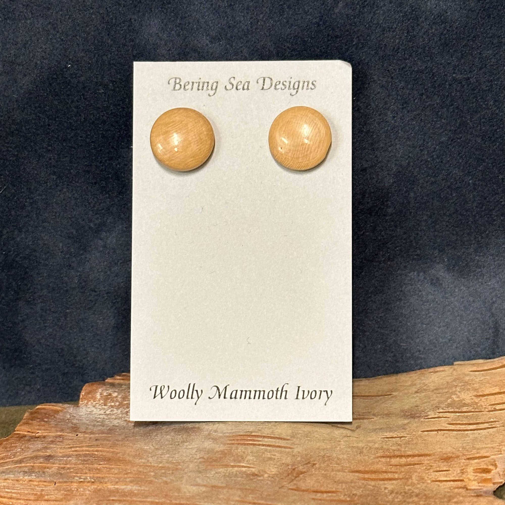Circle Post Ivory Earring
