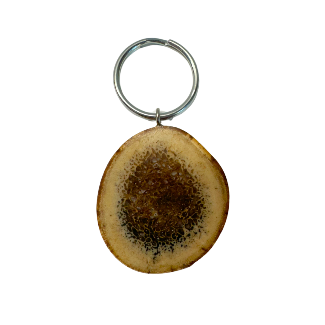 Fossilized Oosik Keychain