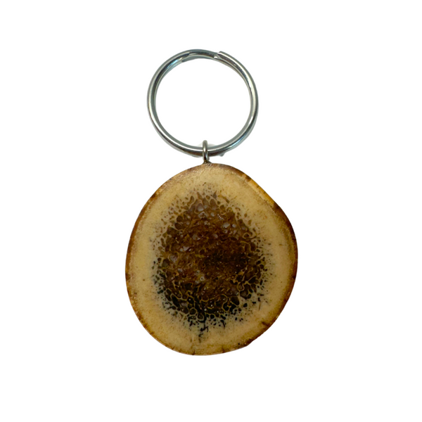 Fossilized Oosik Keychain - Forests, Tides, and Treasures
