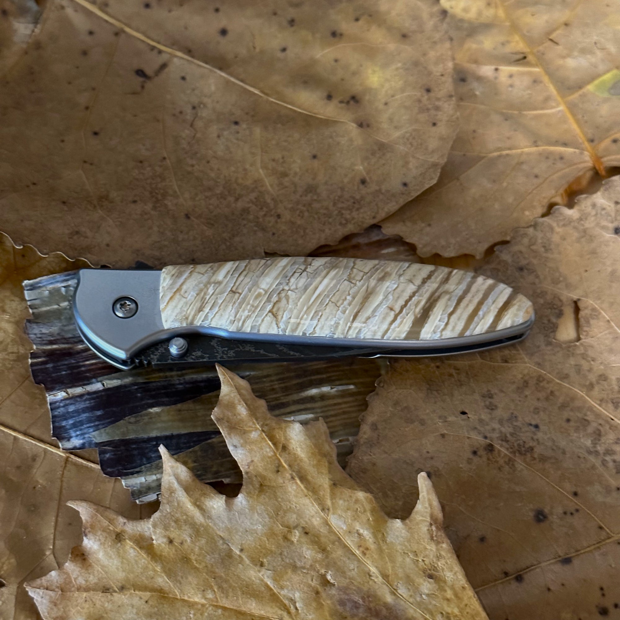 Kershaw Damascus Chive Mammoth Ivory Pocket Knife