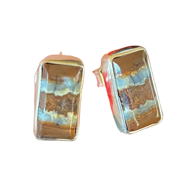 Mini Mammoth Tooth Rectangle Post Earrings