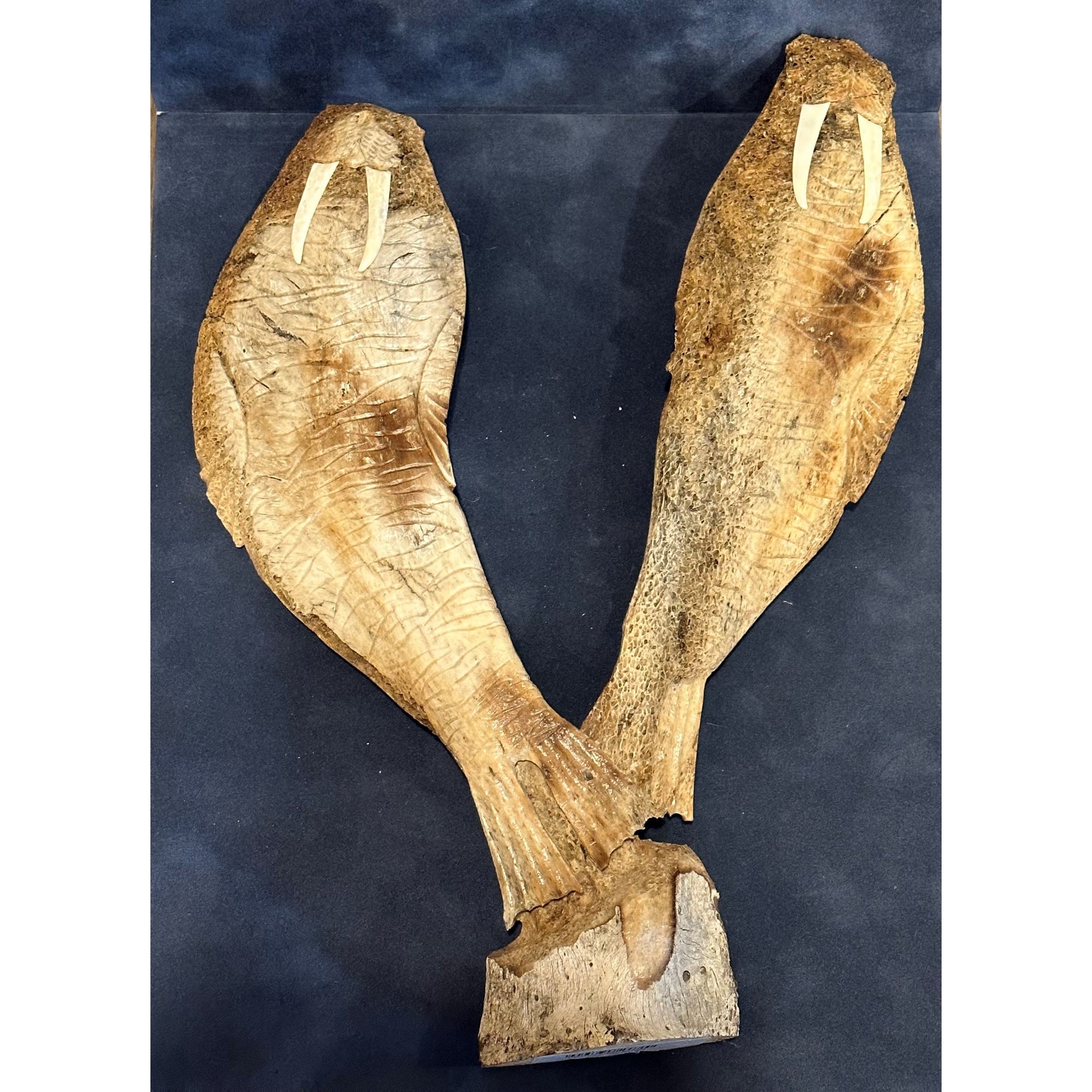 Scapula Double Walrus Figurine