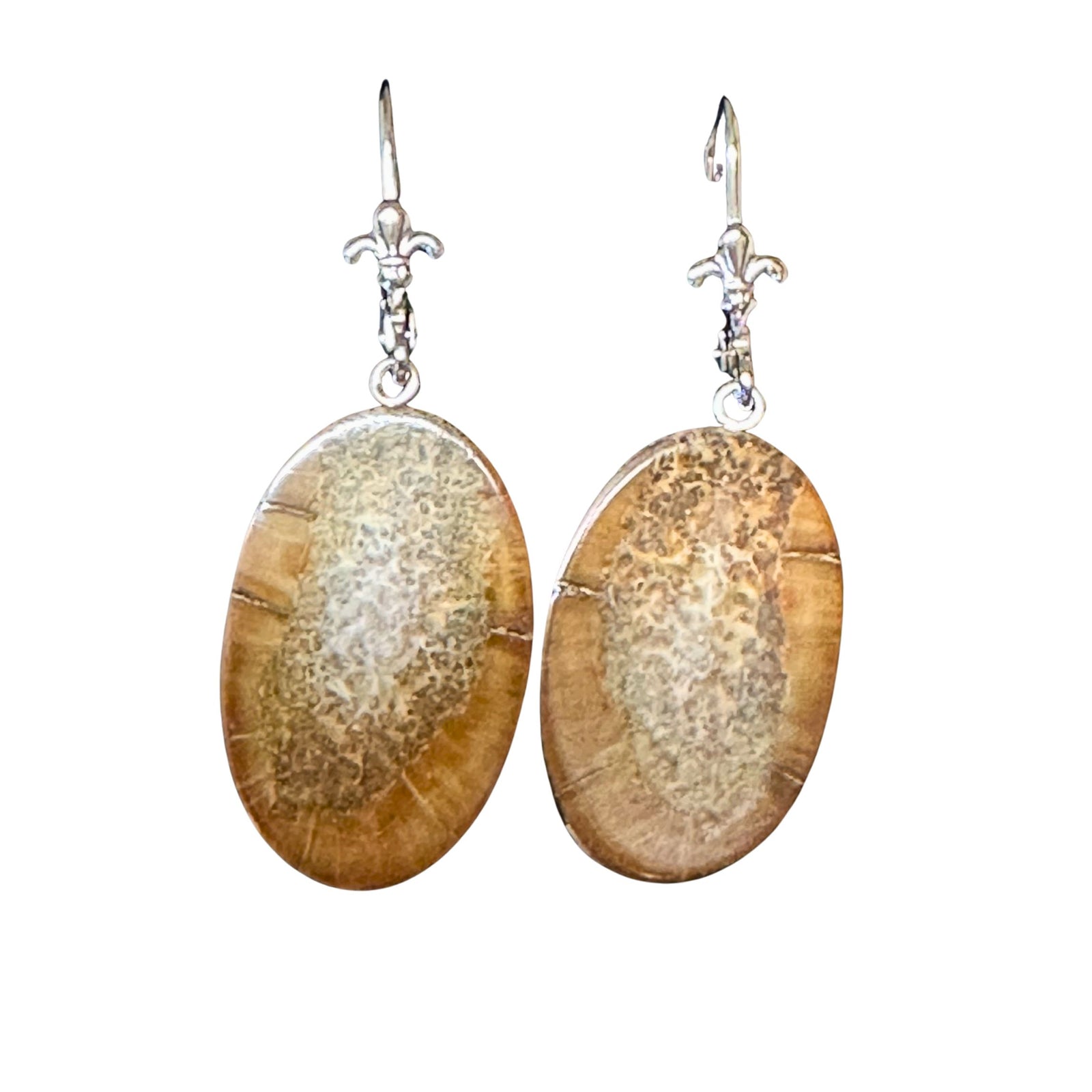 Premium Fossil Walrus Ivory Slice Earrings