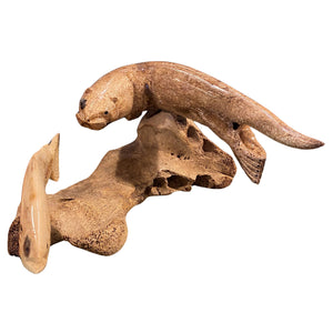 Walrus Jawbone Otter Figurine