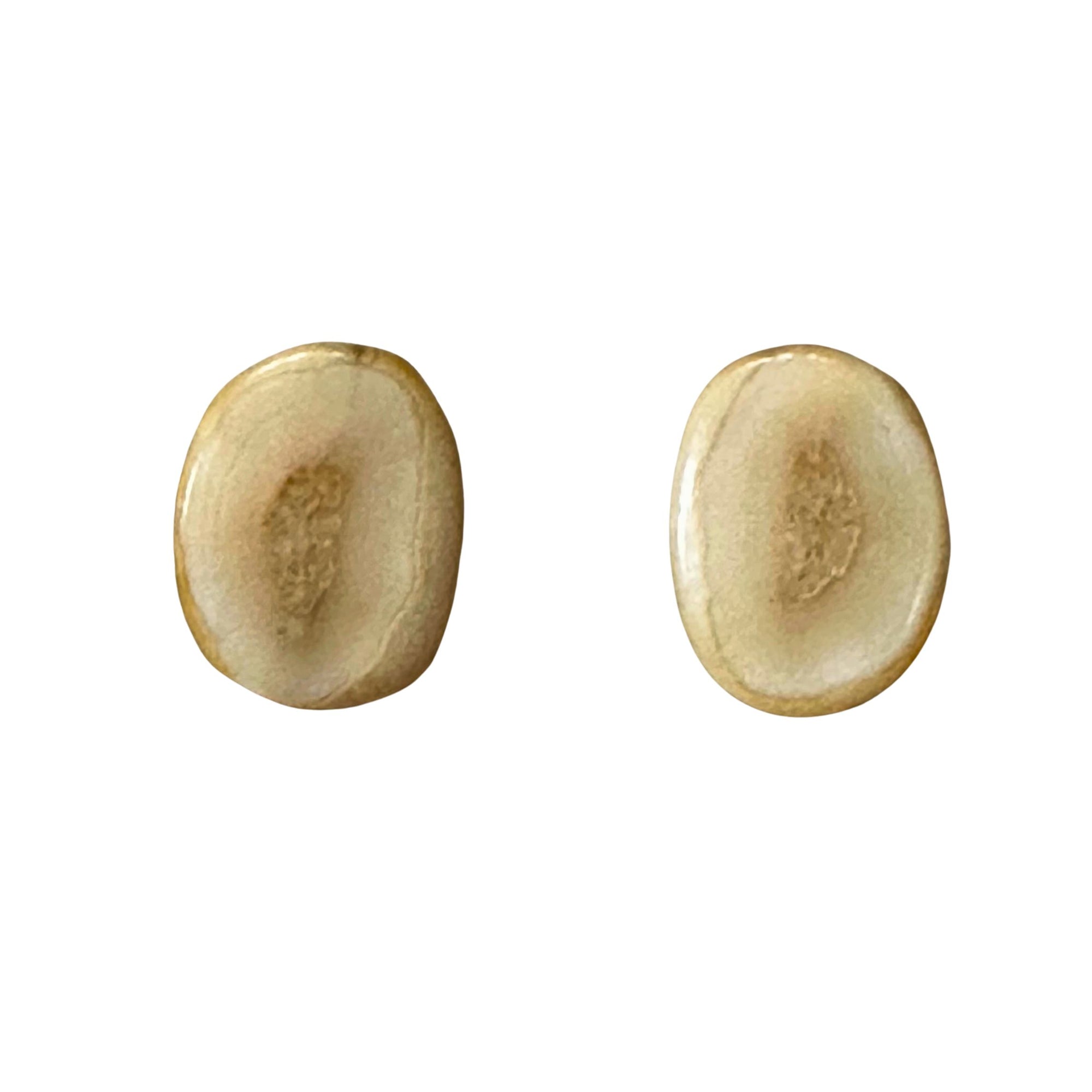 Fossilized Walrus Tooth Slice SS Earrings