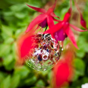 Tree of Enchantment Ball