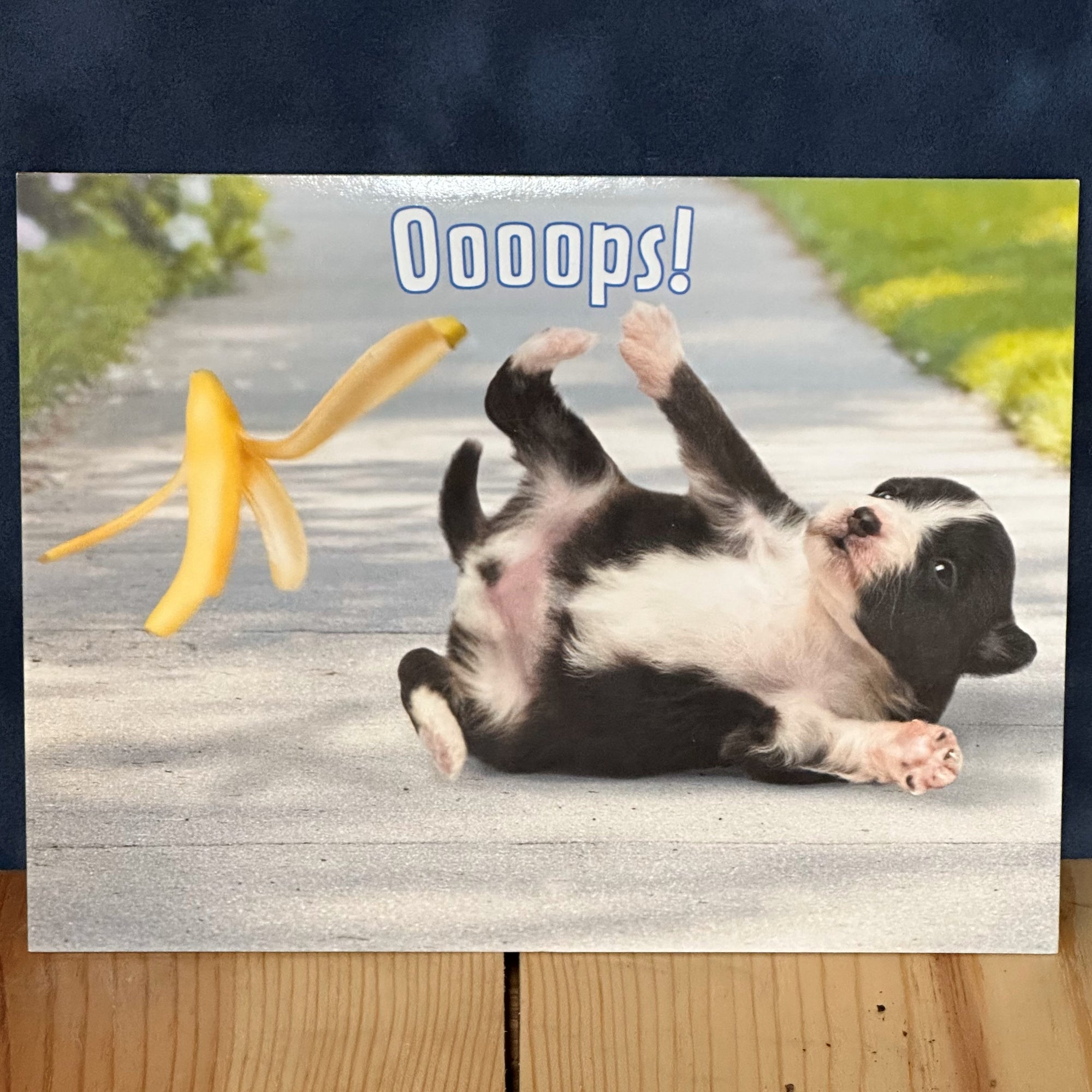 Get Well Leanin' Tree Notecard