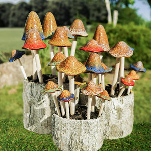 Natural Mushroom, Medium