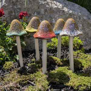 Natural Mushroom, Grande