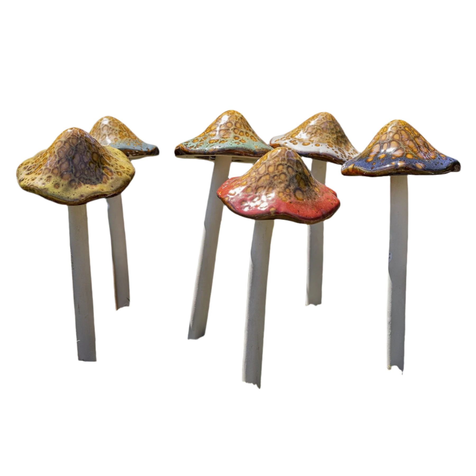 Natural Mushroom, Large
