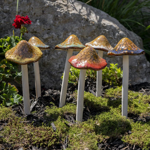 Natural Mushroom, Large