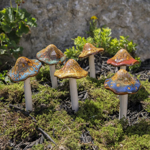 Natural Mushroom, Medium