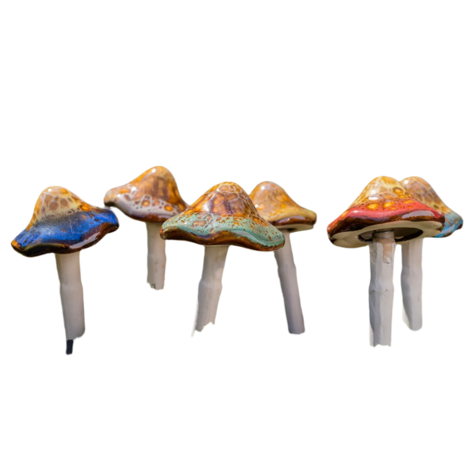 Natural Mushroom, Small