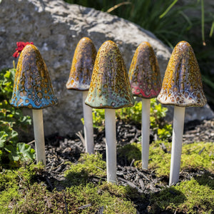 Natural Mushroom, Tall
