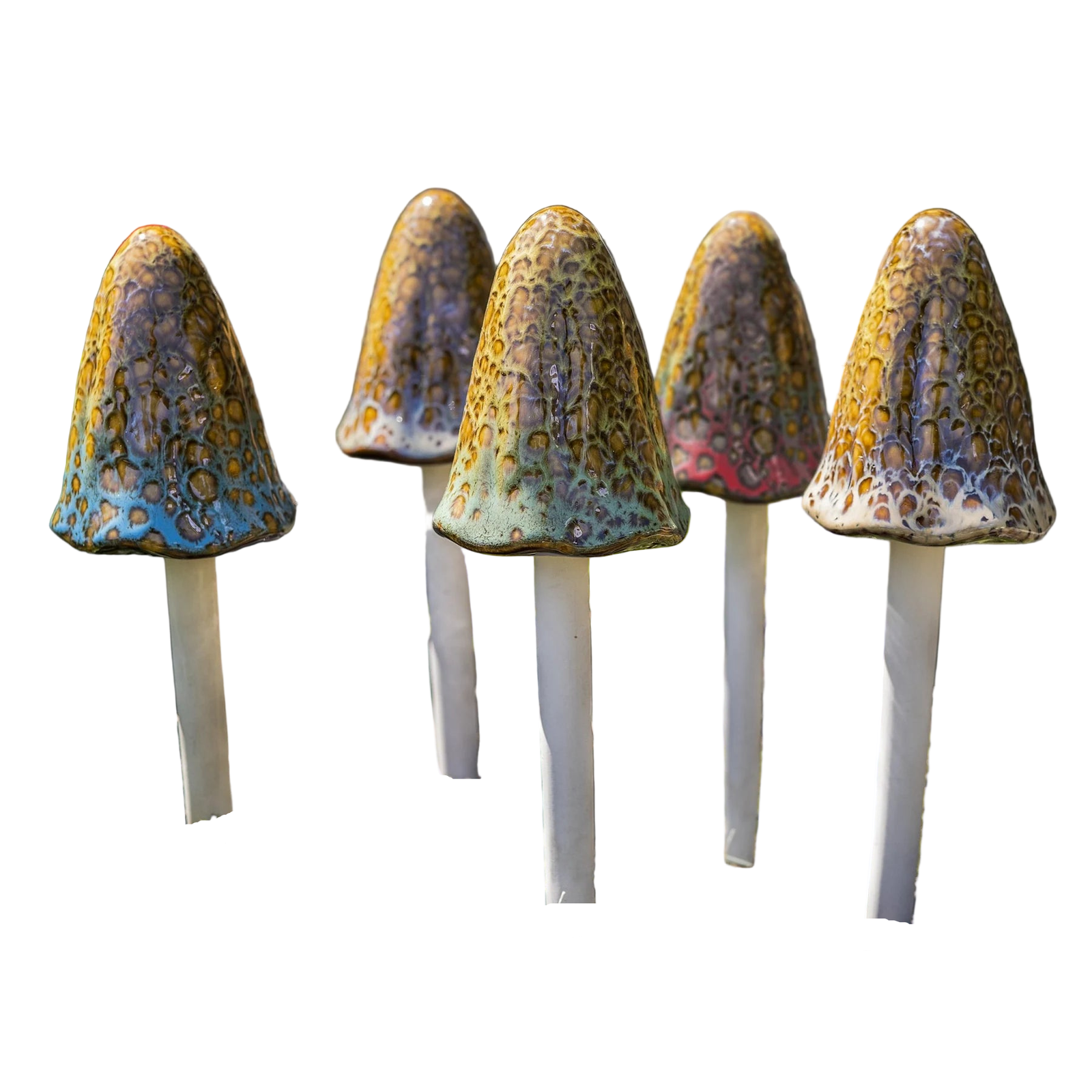 Natural Mushroom, Tall