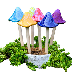 Sun-Drenched Mushroom, Grande