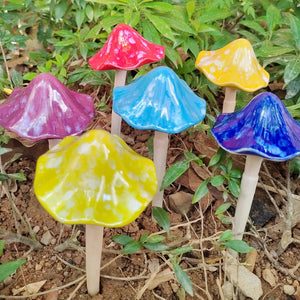 Sun-Drenched Mushroom, Medium