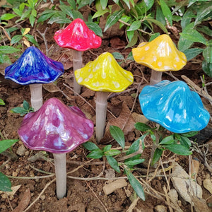 Sun-Drenched Mushroom, Small