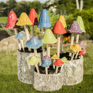 Sun-Drenched Mushroom, Tall