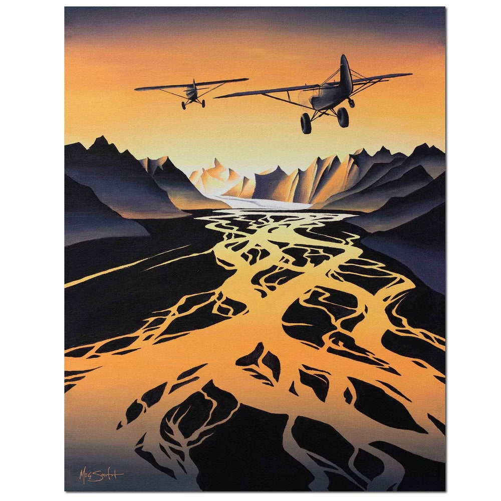 Flight Of Two Framed Canvas Print