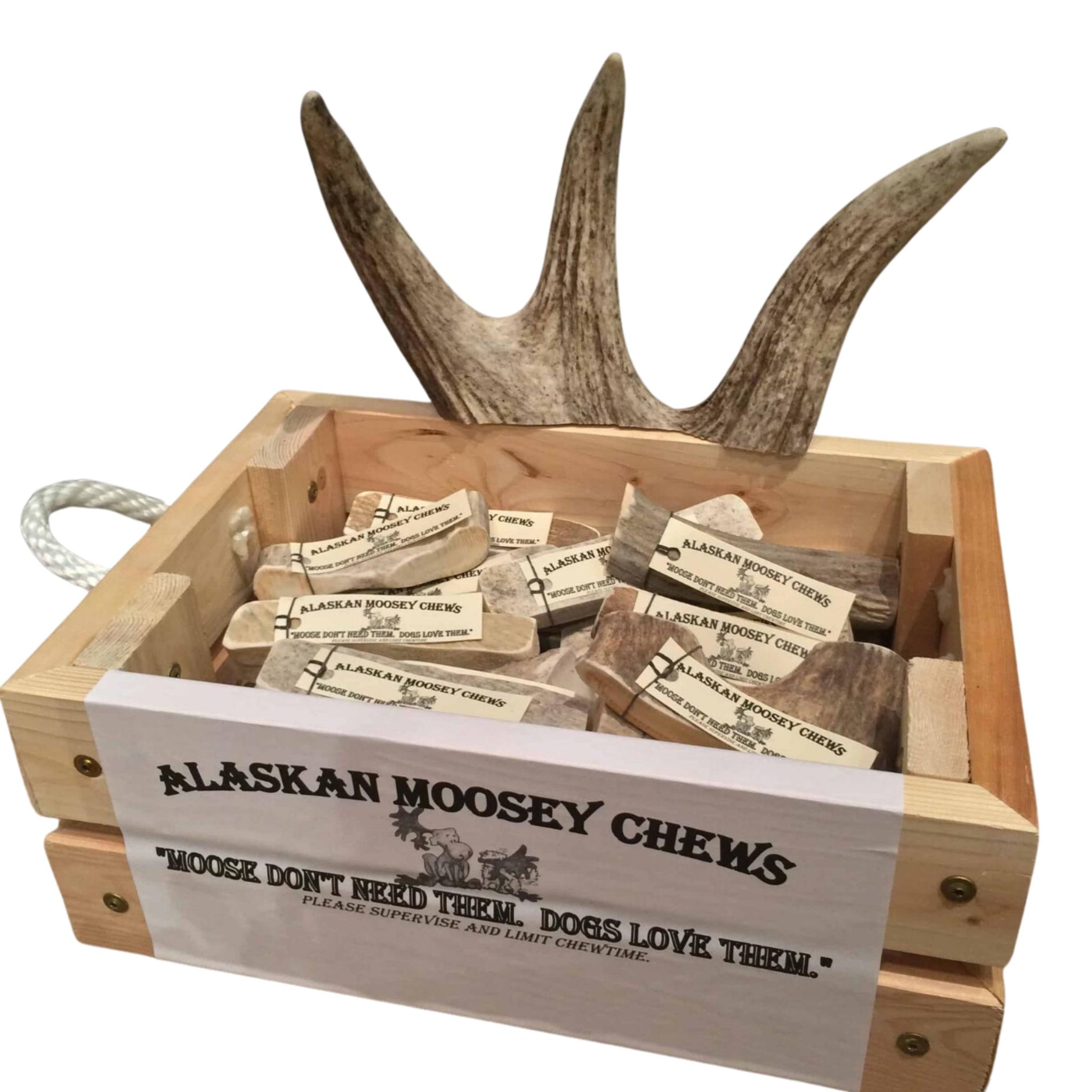 Moose antler chews hot sale