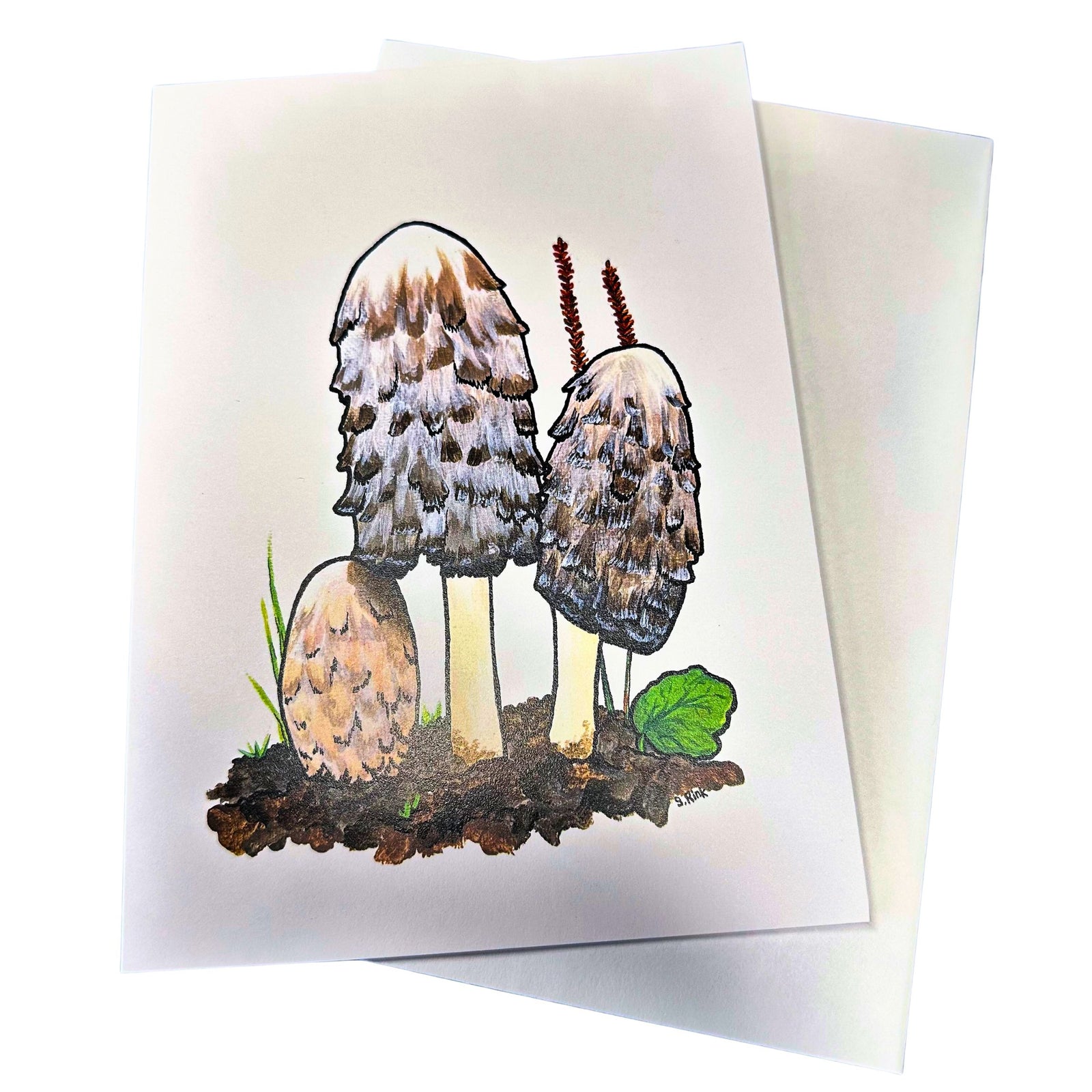 Shaggy Mane Notecard