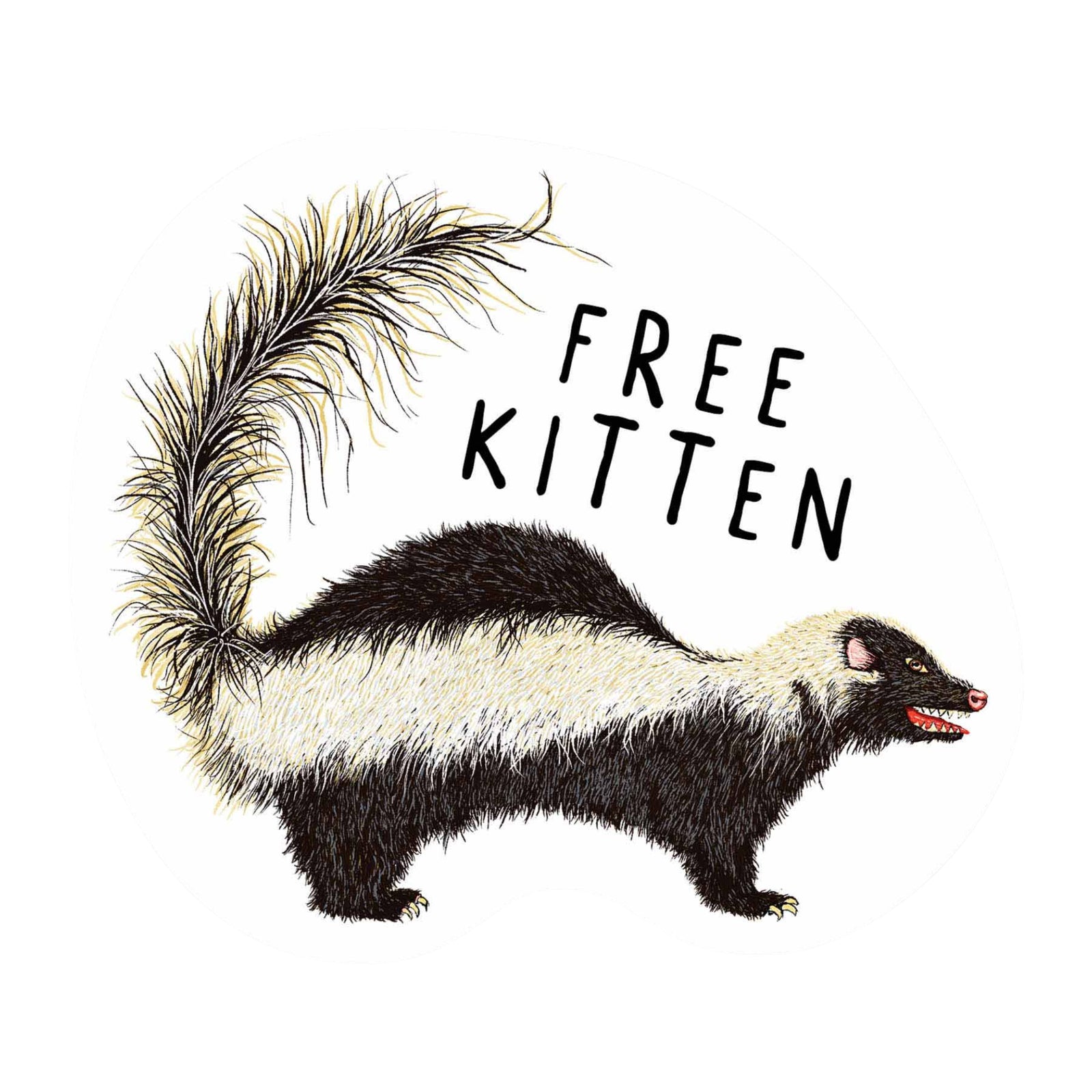 Free Kitten Sticker