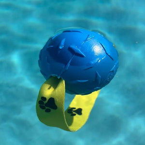Floating Ball Dog Toy