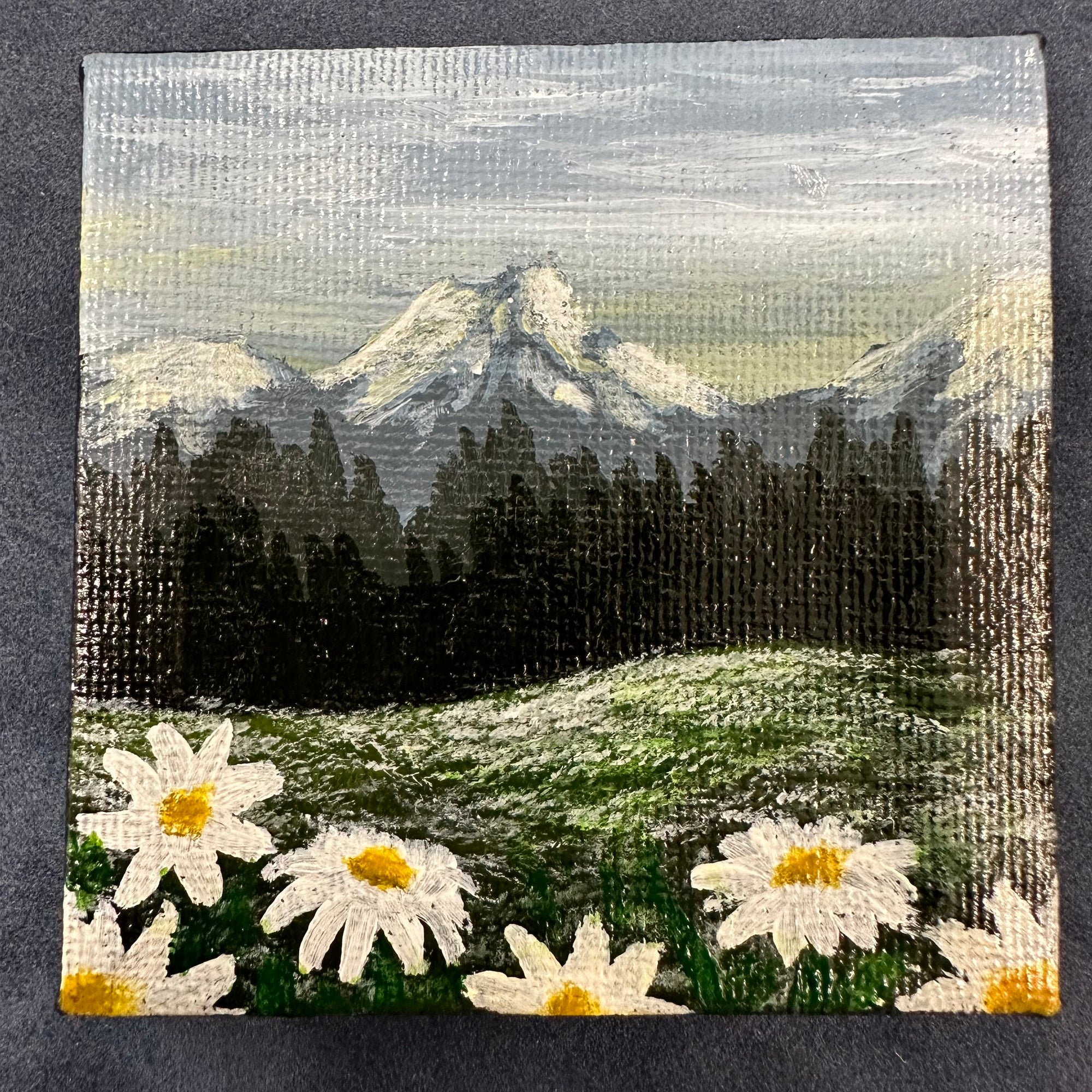 Daisy Meadow Original Canvas Print