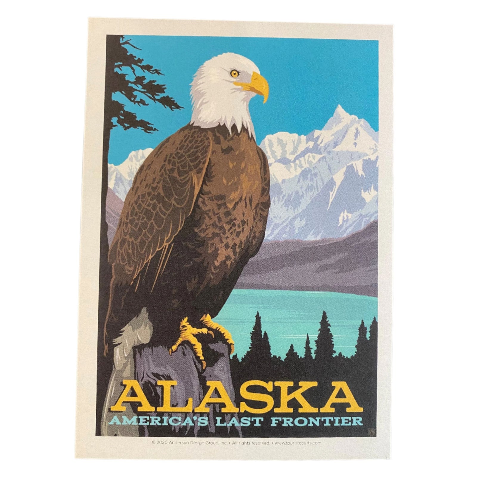 Vintage Alaska Eagle Postcard