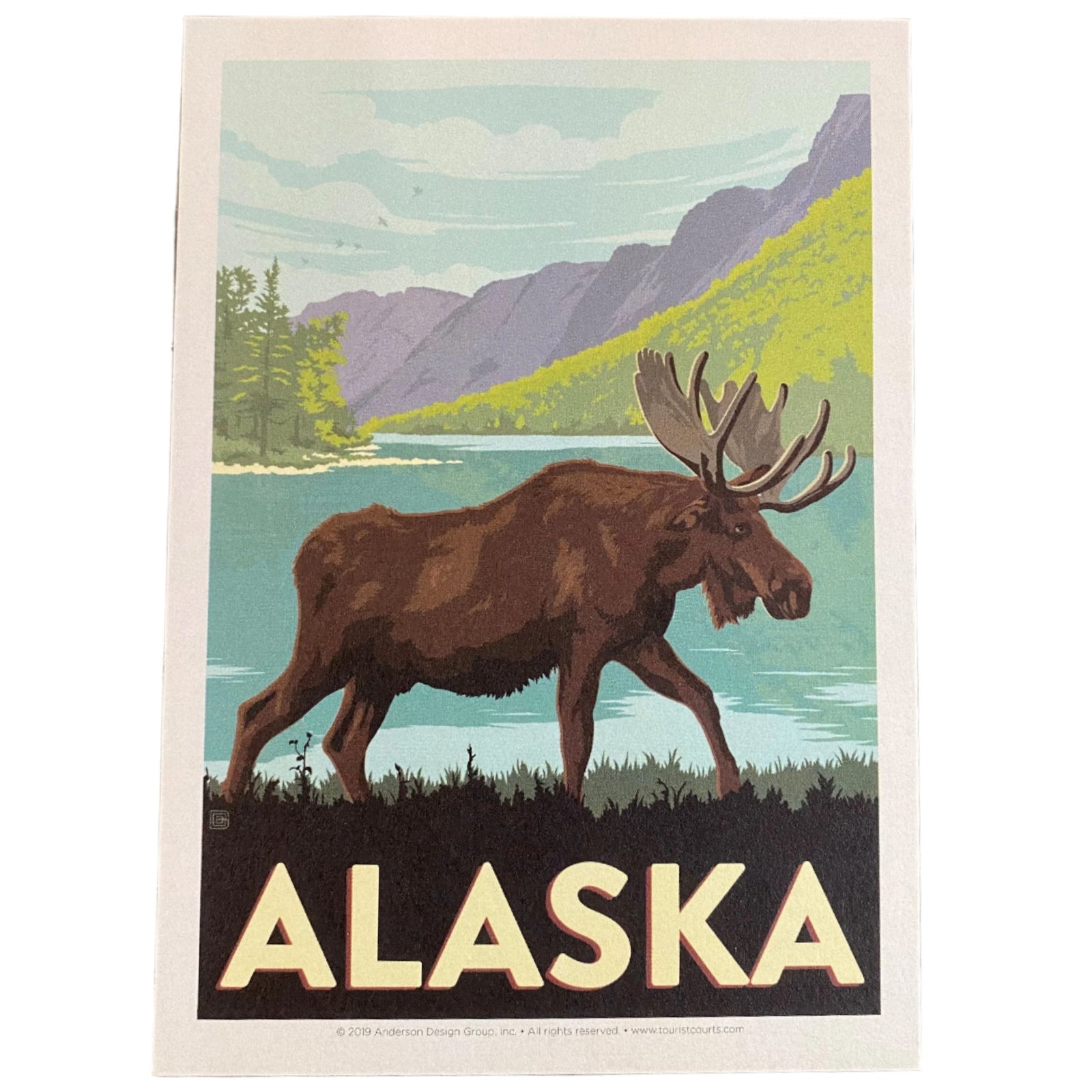 Vintage Alaska Moose Postcard