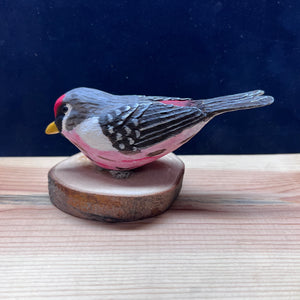Redpoll Wood Carved