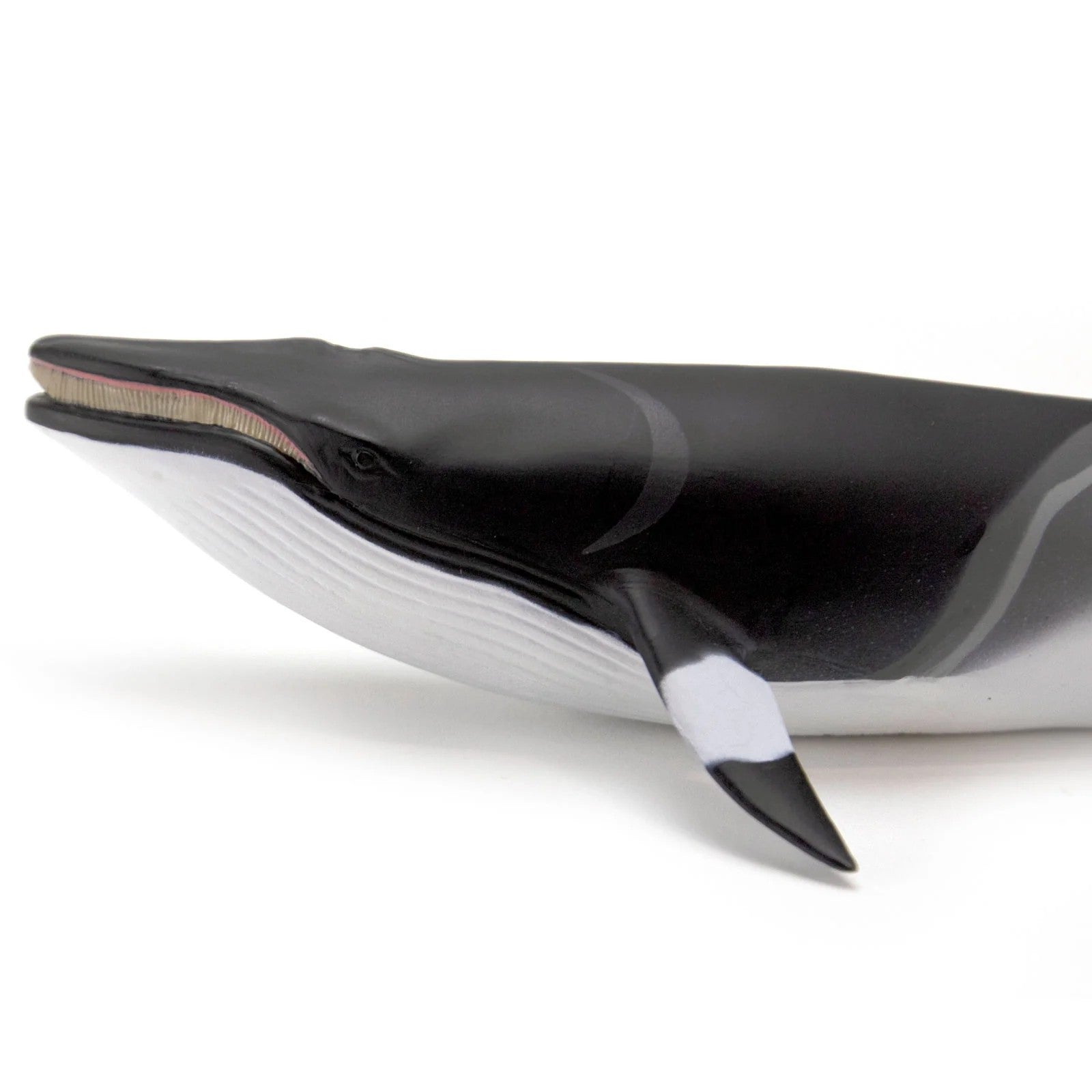 Minke Whale Figurine
