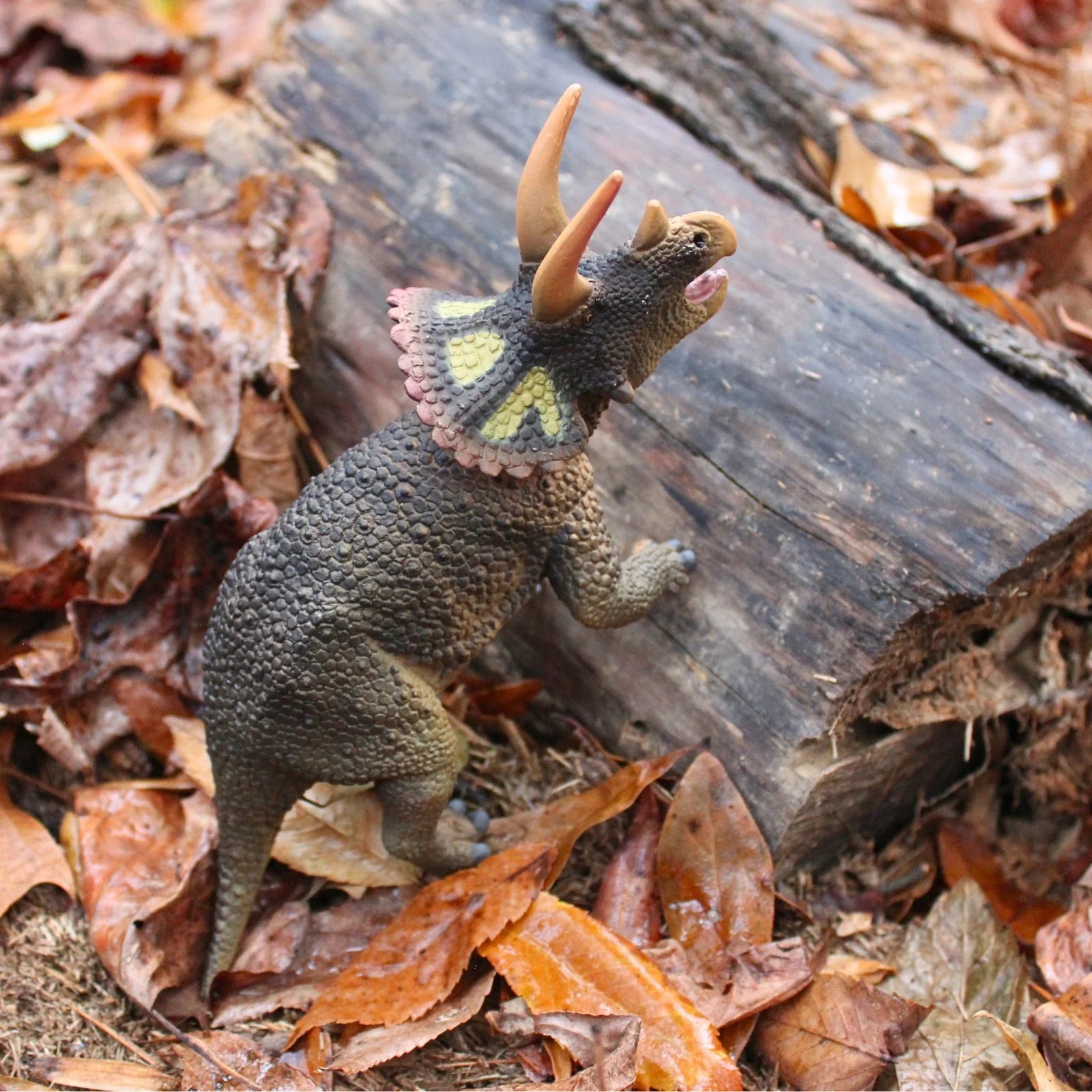 Triceratops Figurine