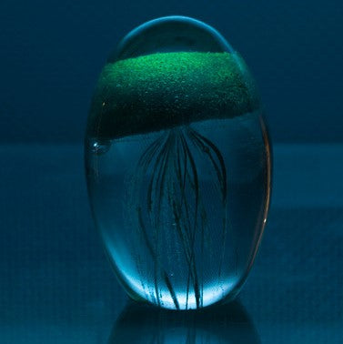 Glass Jellyfish 3.25 in.