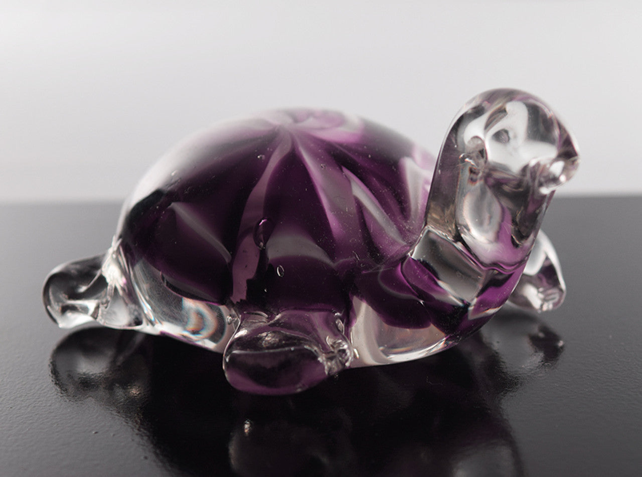 Glass Turtle