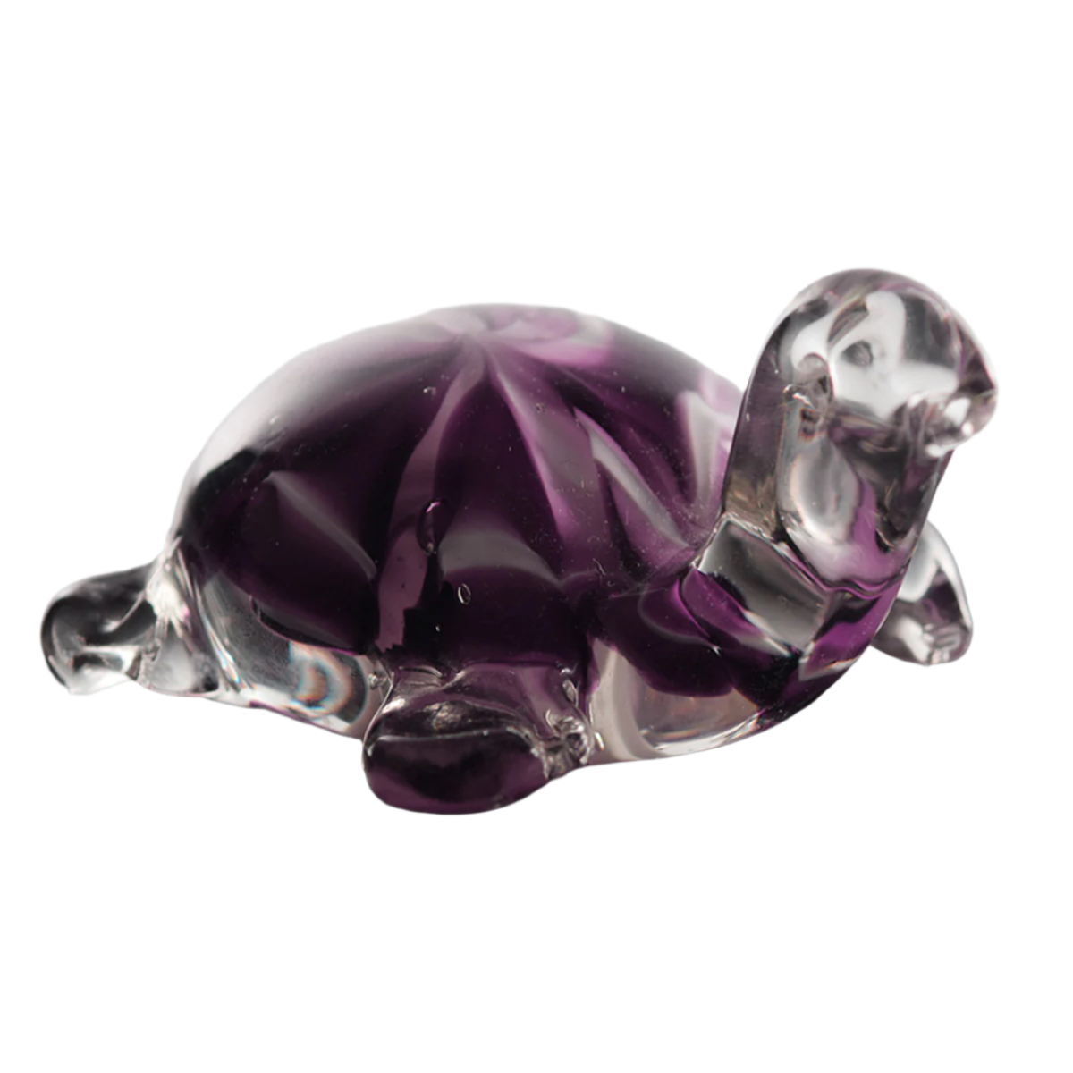 Glass Turtle