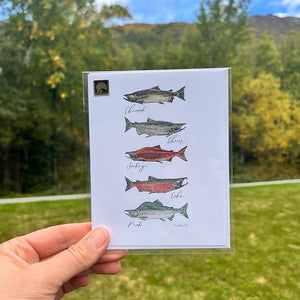 Salmon Chart Notecard