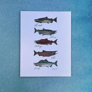 Salmon Chart Notecard