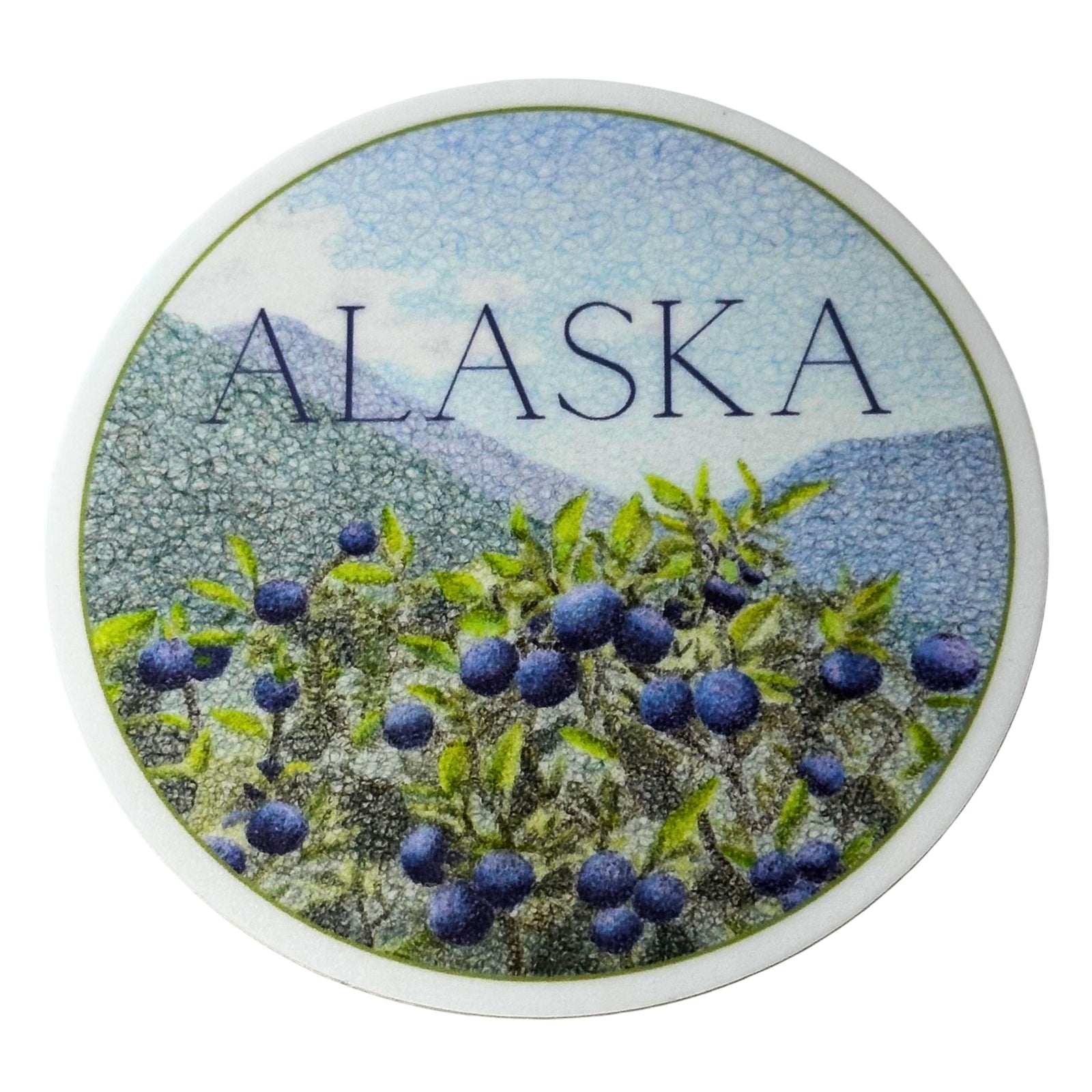 Blueberry Sticker