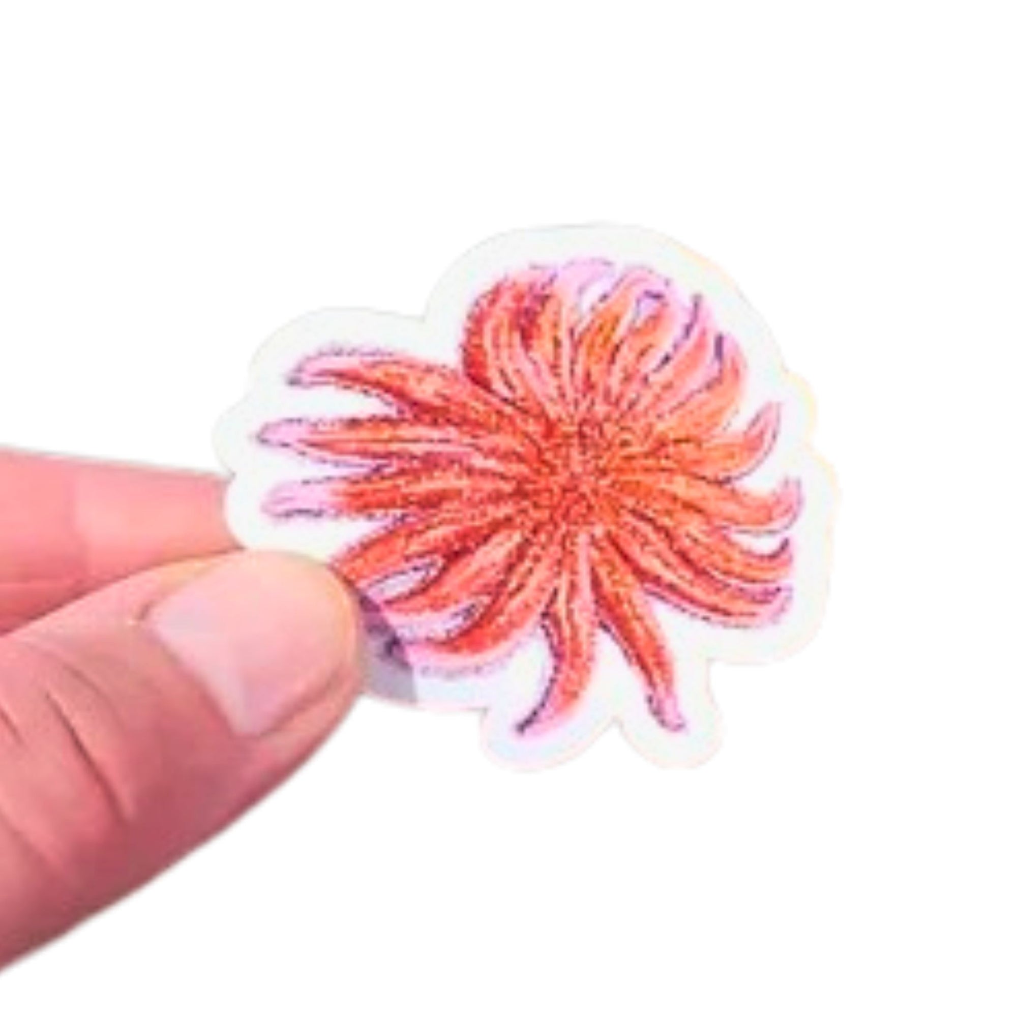 Sunflower Star Sticker