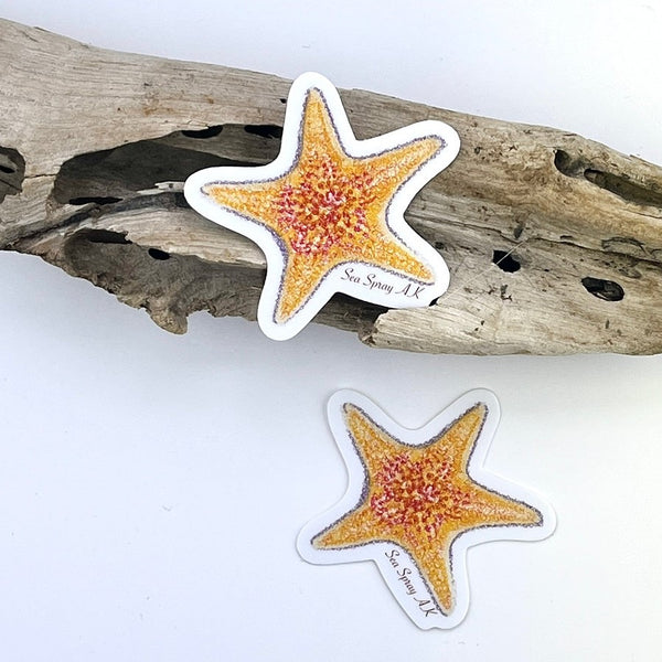 Yellow Bat Star Sticker - Forests, Tides, and Treasures